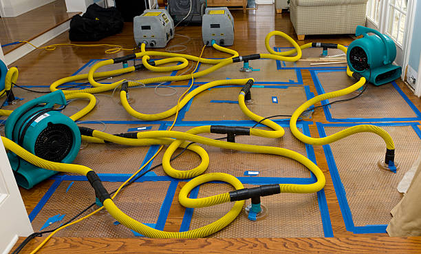 Professional Flood Damage Restoration technician working in Grouse Creek, UT